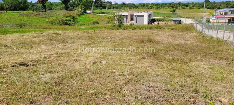 Lote en Venta, El Totumo, Ibagué - Vista 2