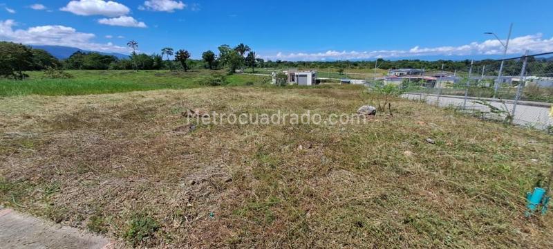 Lote en Venta, El Totumo, Ibagué - Vista 4