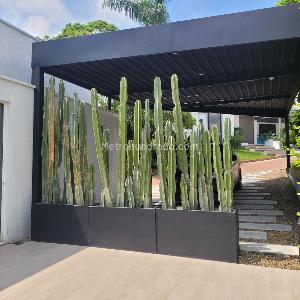 Casa de 4 alcobas en venta en Mirolindo Picaleña, Ibagué, 470 m² · foto 10 de 20