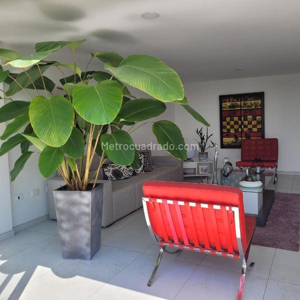 Piso – Ibagué, Comuna 8 - Ciudadela - Vista 5