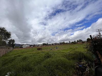 Casa de 4 alcobas en venta en La Arboleda Guaymaral, Bogotá, 350 m² · foto 4 de 20