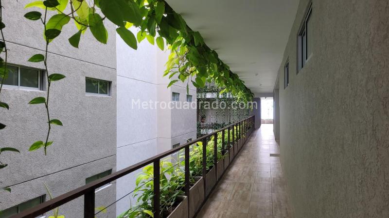 Piso – Ibagué, Comuna 9 - Picaleña-Mirolindo - Vista 4