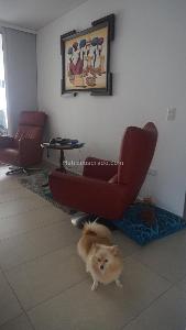 Apartamento de 4 alcobas en venta en El Vergel, Ibagué, 219 m² · foto 18 de 20
