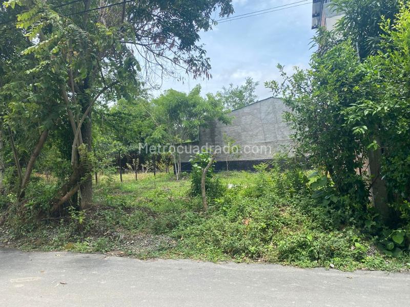 Lote en Venta, Aparco, Ibagué - Vista 2