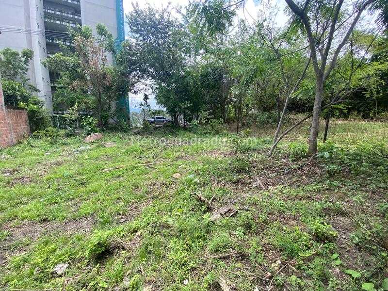 Lote en Venta, Aparco, Ibagué - Vista 4