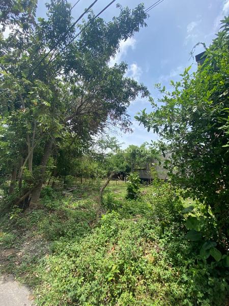 Lote en Venta, Aparco, Ibagué - Más