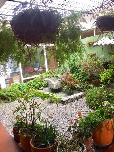 Casa de 4 alcobas en venta en Cadiz, Ibagué, 480 m² · foto 10 de 20