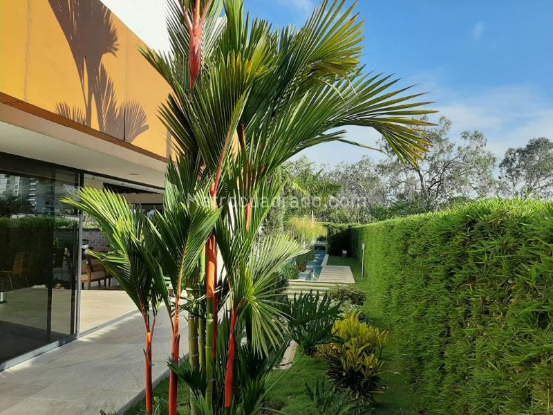 Casa en Venta, Picaleña, Ibagué - Widok 2