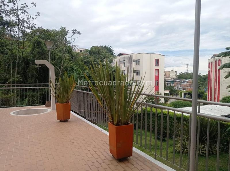 Piso – Ibagué, La Pola, Comuna 1 - Centro - Vista 3