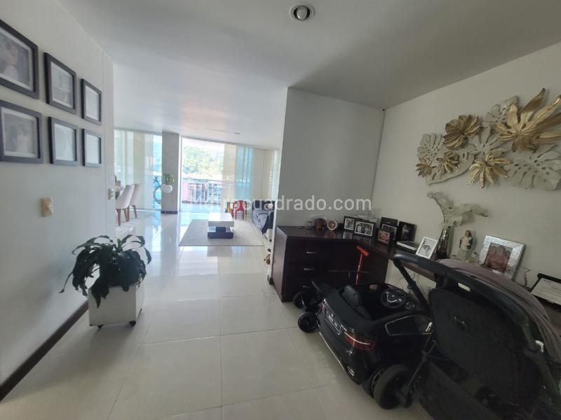 Piso – Ibagué, El Libertador, Comuna 1 - Centro - Vista 3