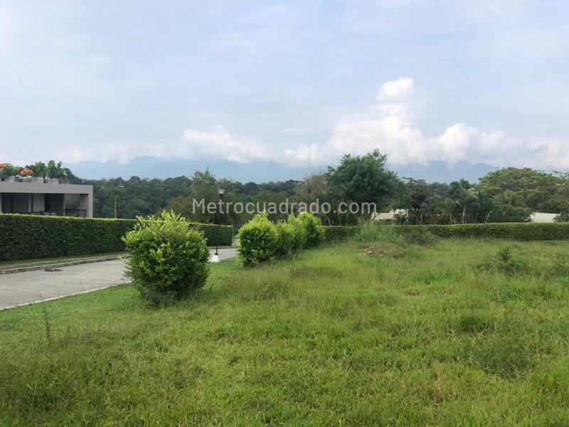 Lote en Venta, Picaleña, Ibagué - Vista 3