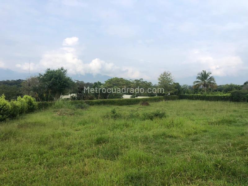 Lote en Venta, Picaleña, Ibagué - Vista 5