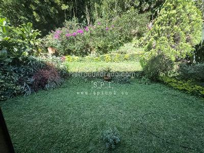 Casa de 3 alcobas en venta en Los Balsos, Medellín, 257 m² · foto 4 de 16