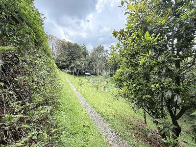 Casa de 3 alcobas en venta en Altos Del Escobero, Envigado, 422 m² · foto 7 de 20