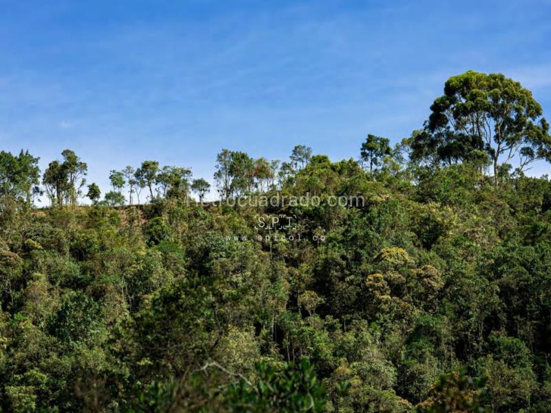 Lote en Venta, Alto De Palmas, Envigado - Vista 5