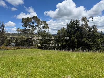 Lote en Venta, Alto De Las Palmas, Envigado