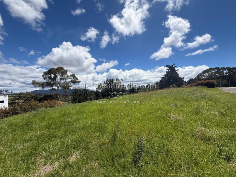 Lote en Venta, Alto De Las Palmas, Envigado - Vista 3
