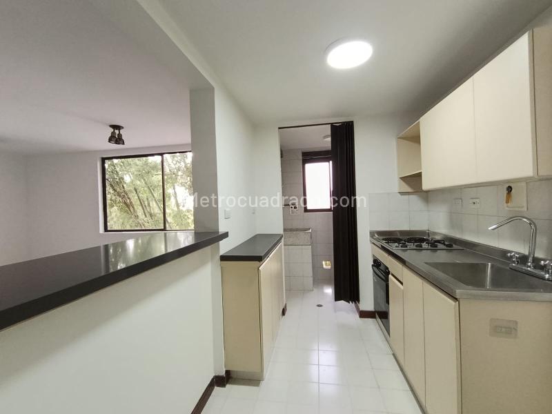 1BR Studio Apartment for Rent in San Lucas (55 m²) - 2