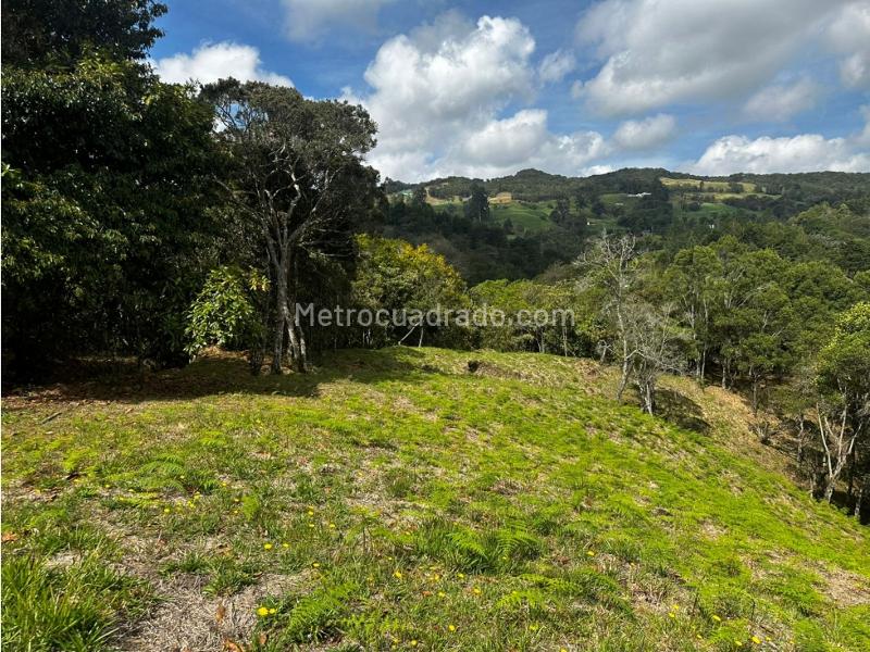 Lote en Venta, V Pantanillo, Envigado - Vista 5