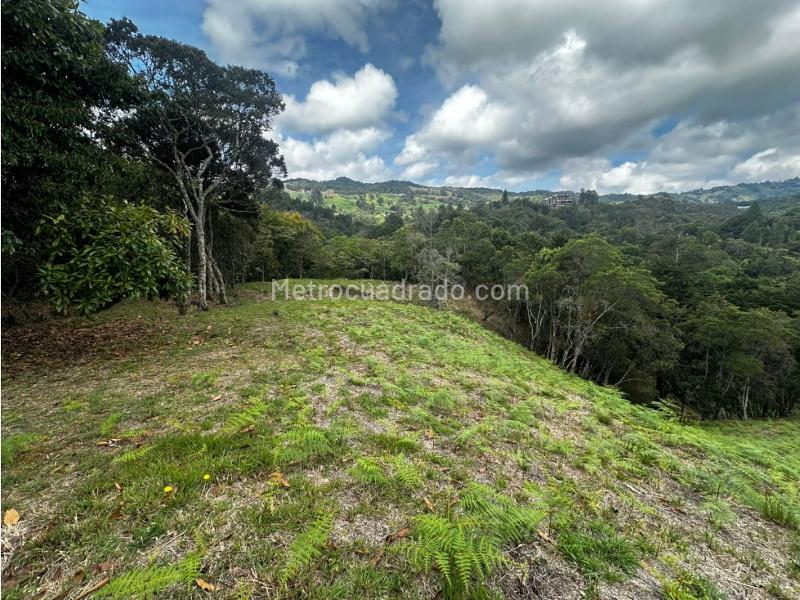 Lote en Venta, V Pantanillo, Envigado - Más