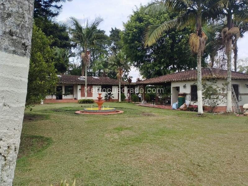 4BR Finca in San Antonio De Pereira (12000 m²) - 2