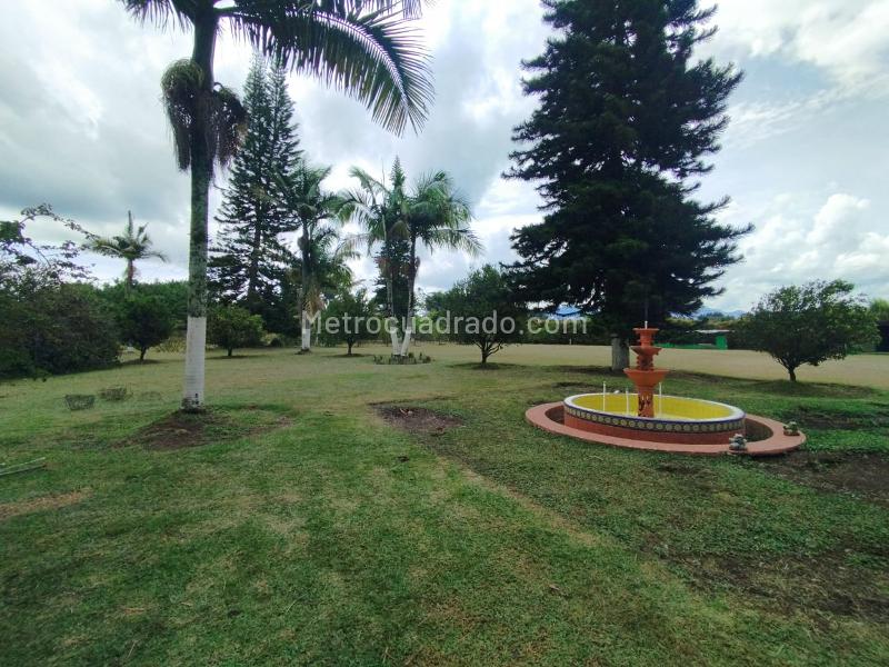 4BR Finca in San Antonio De Pereira (12000 m²) - 3
