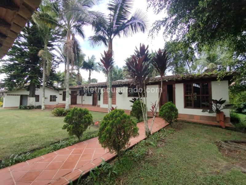 4BR Finca in San Antonio De Pereira (12000 m²) - 5