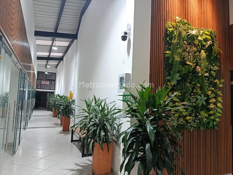 Local Comercial en Arriendo, Rionegro, Rionegro - Vista 2