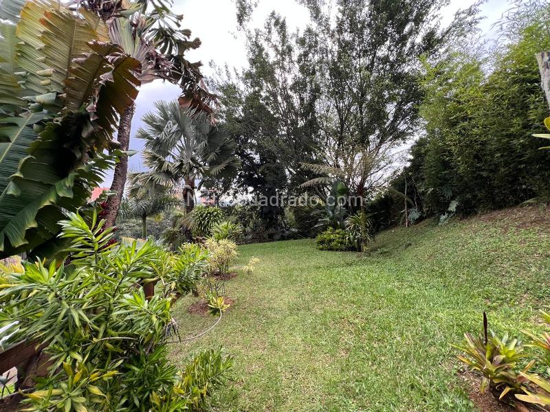 Spacious 12BR House in Altos Del Poblado - 5