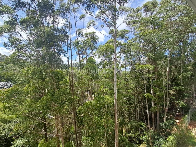 Apartamento en Arriendo, Sajonia, Rionegro - 2