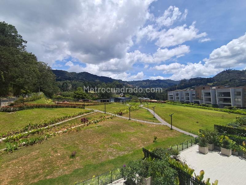 2BR Apartment in Sajonia (126 m²) - 4