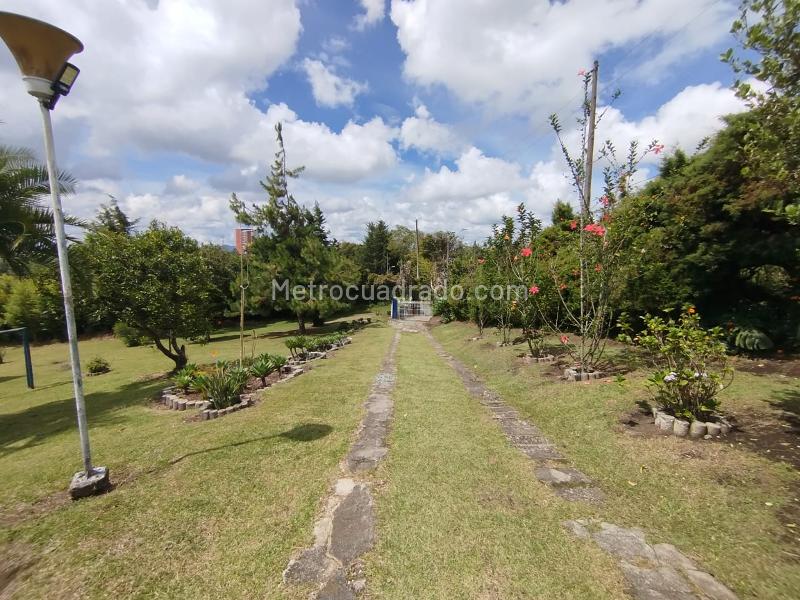 Finca en Arriendo, Rionegro, Rionegro - 5