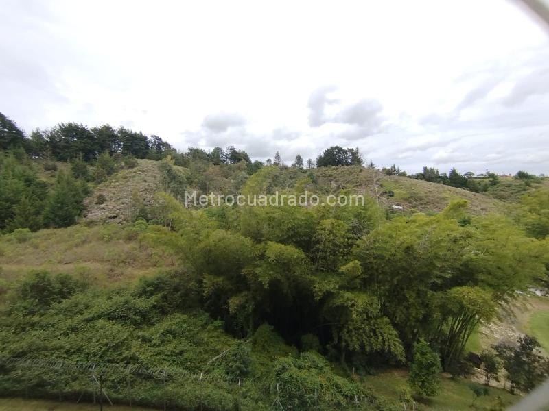 Apartamento en Arriendo, Barro Blanco Rio Negro, Rionegro - 4