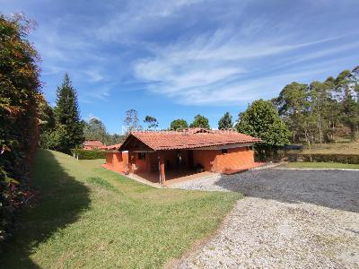 Finca en Arriendo, Sajonia, Rionegro