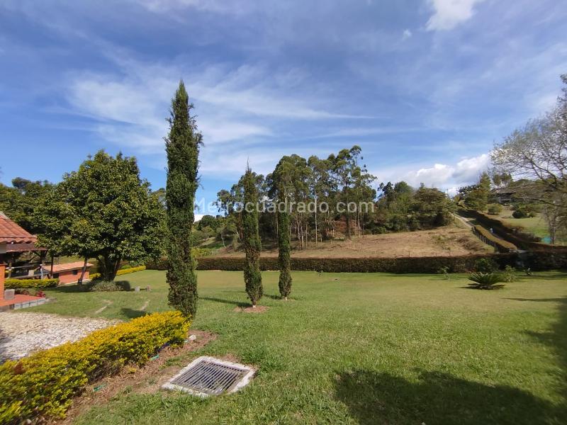 Casa – Sajonia, Rionegro - Más