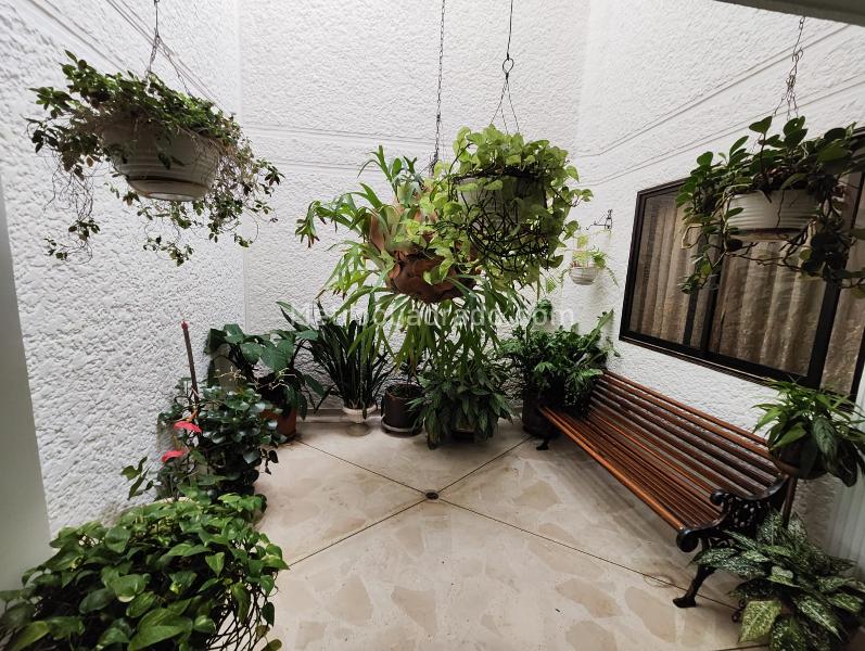 Casa Amplia de 4 Alcobas con Jacuzzi en Los Colores - 4