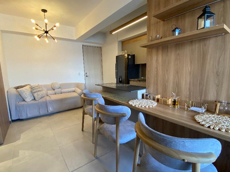 Furnished Apartment in La Frontera - 8