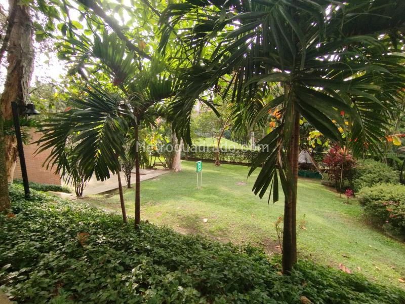 Exclusive 4BR Apartment in Las Lomas - 3