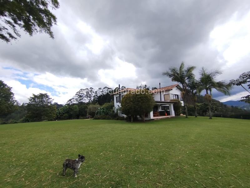 Finca en Arriendo, El Retiro, Retiro - 3