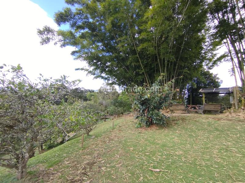 Finca en Arriendo, El Retiro, Retiro - 5