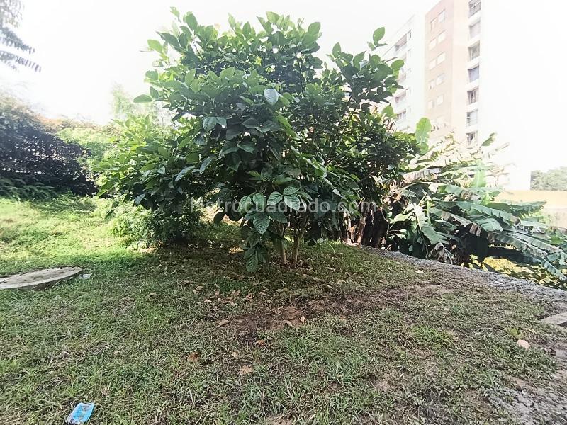 Local Comercial en Arriendo, Rionegro, Rionegro – pohled 3