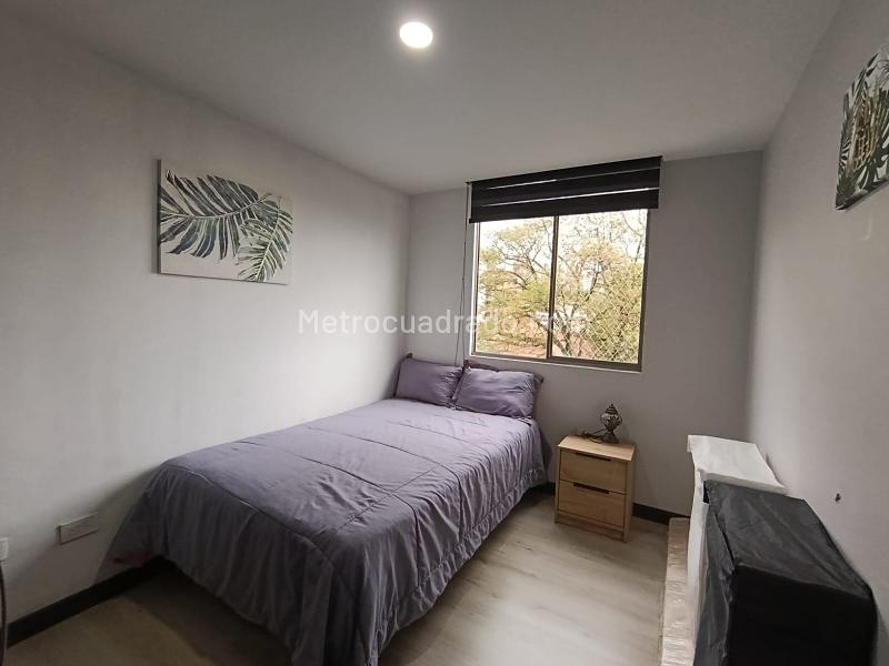 Elegant 3BR Apartment in El Tesoro - 6