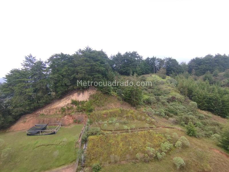 Apartamento en Arriendo, Barro Blanco Rio Negro, Rionegro - 3