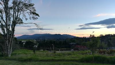 Casa de 4 alcobas en arriendo en Alto De Palmas, Envigado, 350 m² · foto 4 de 19