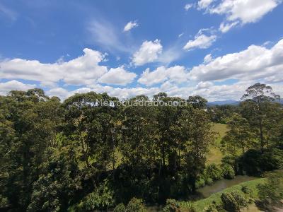 Apartamento de 1 alcoba en arriendo en El Porvenir Rio Negro, Rionegro, 54 m² · foto 5 de 12