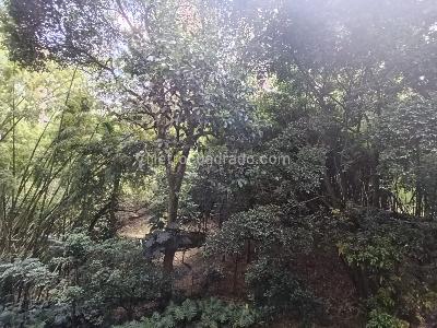 Apartamento de 2 alcobas en arriendo en Loma Del Esmeraldal, Envigado, 130 m² · foto 19 de 20