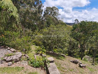 Casa de 2 alcobas en arriendo en Las Palmas Envigado, Envigado, 230 m² · foto 7 de 20