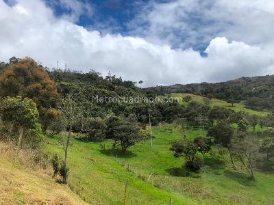 Casa en venta en Verda Alto De Las Mercedes, La Calera · foto 19 de 20