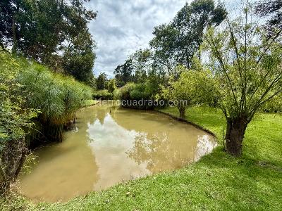 Casa en venta en El Molino De Guasa, Cajicá · foto 18 de 20