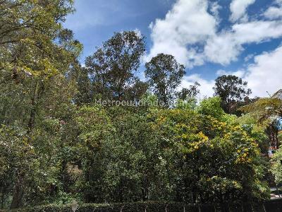 Apartamento de 2 alcobas en venta en Los Rosales, Bogotá, 206 m² · foto 2 de 20
